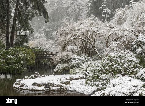 Portland Oregon Moonbridge And Snowfall Portland Japanese Garden
