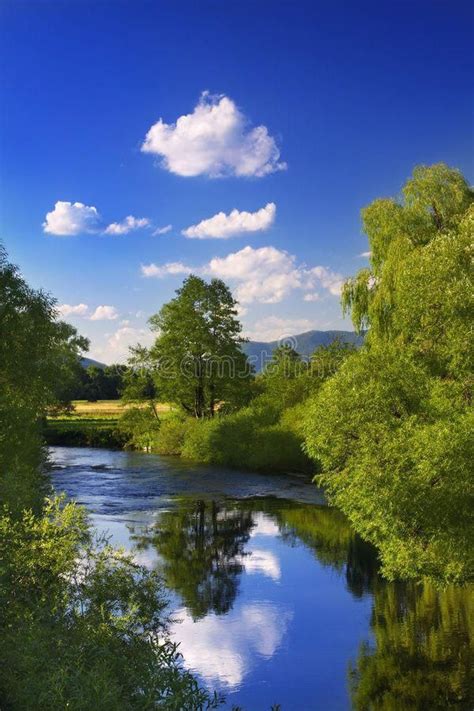 Free Download Wallpaper Forest River Mountains Blue Sky Poland Green