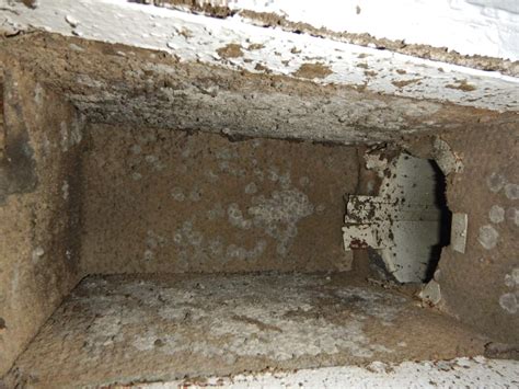 Ac Duct Mold Information From A West Palm Beach Mold Inspector