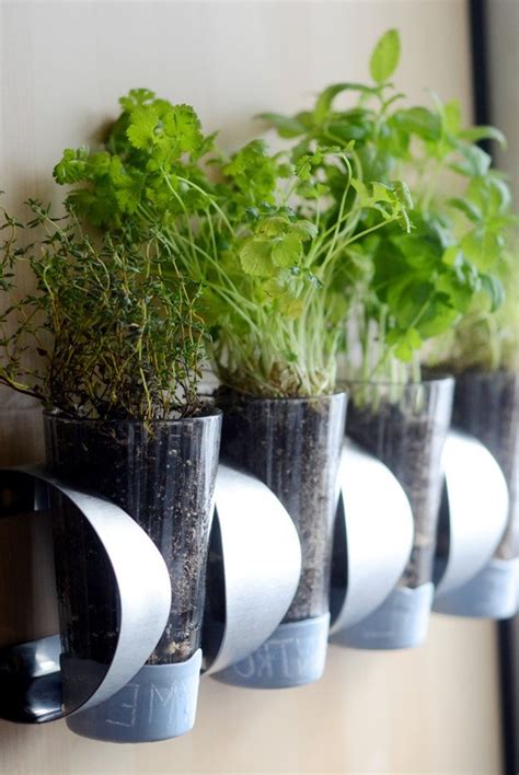 10 Diy Indoor Herb Garden Ideas And Planters Theyre Easy
