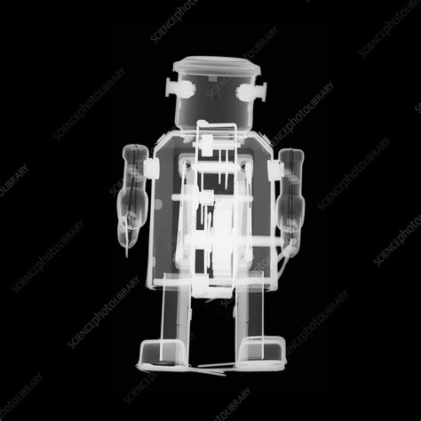 Toy Metal Robot X Ray Stock Image F0306854 Science Photo Library