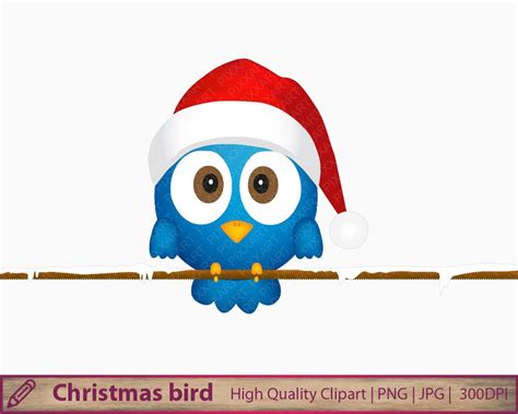Christmas Bird Clipart 20 Free Cliparts Download Images On Clipground