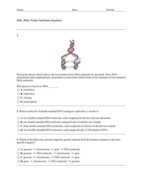Rna and protein synthesis answer key vocabulary: Worksheet on DNA RNA and Protein Synthesis Answer Key