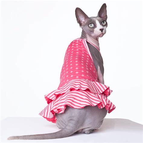 Pink Lemonade Sphynx Cat Wear