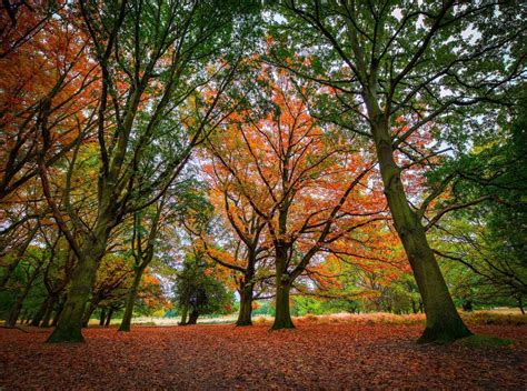 10 Of The Best Places To See Britains Autumn Colours Travel Tips For