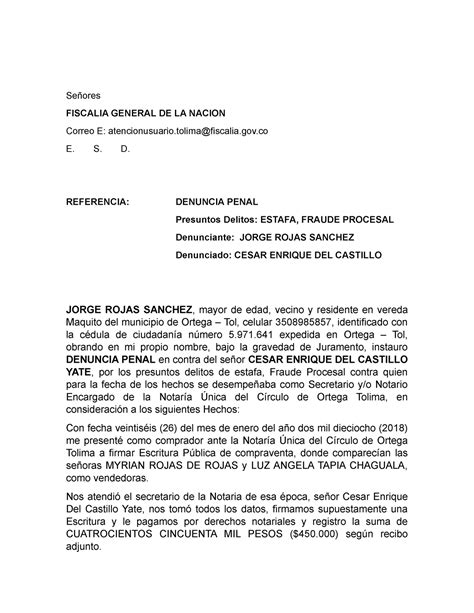Denuncia Penal Jorge Rojas Sanchez Estafa Fraude Procesal