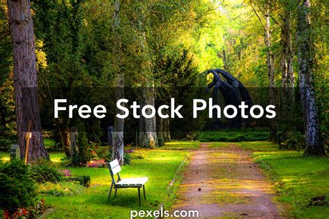 Nature Stock Background Images 20 000 Best Nature Videos 100 Free