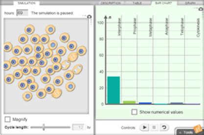 On the table tab, click record data. Gizmo of the Week: Cell Division | ExploreLearning News