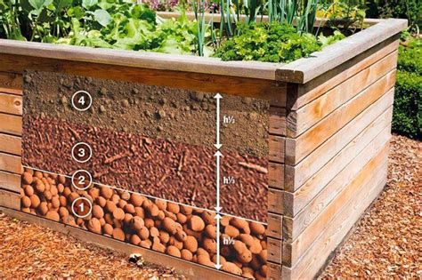 How To Build A Simple Raised Bed Plant Engineering Discoveries