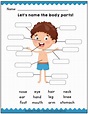 Body Parts Worksheets / Identify and match the Body Parts - Worksheets ...