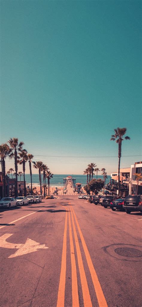 🔥 Download California Beach And Palm Trees Image Los Angeles Wallpaper
