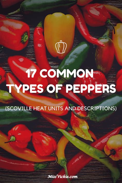 17 common types of peppers scoville heat units and descriptions miss vickie