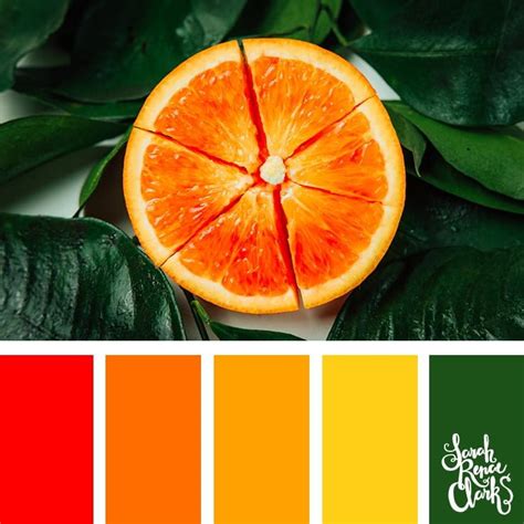 Orange Fruit Color Palette Find A Great Color Palette From Color Hunt