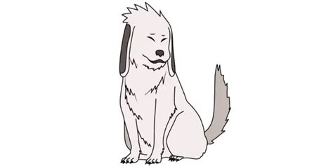 What Type Of Dog Is Akamaru Dog Breeds Faq