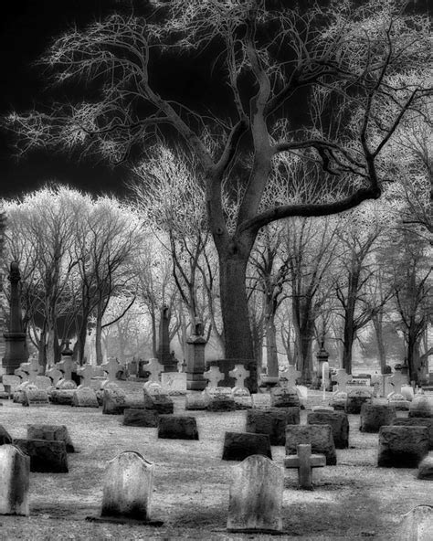 Gothic Trees Among The Tombstones Digital Art By Gothicrow Images