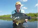 Sunfish Pond Fish