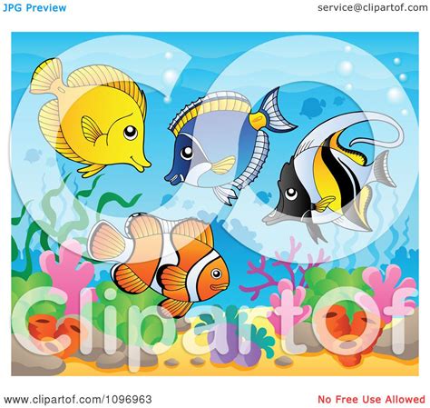 Clipart Tropical Saltwater Fish In The Sea Royalty Free Vector