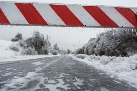 Dangerous And Icy Road Sign Stock Image Image Of Forest Damage 85244759