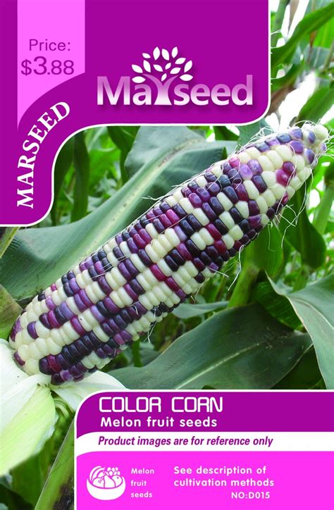 By Marseed 50 Color Corn Seeds Vegetable Seeds Incredibly Fun To Grow