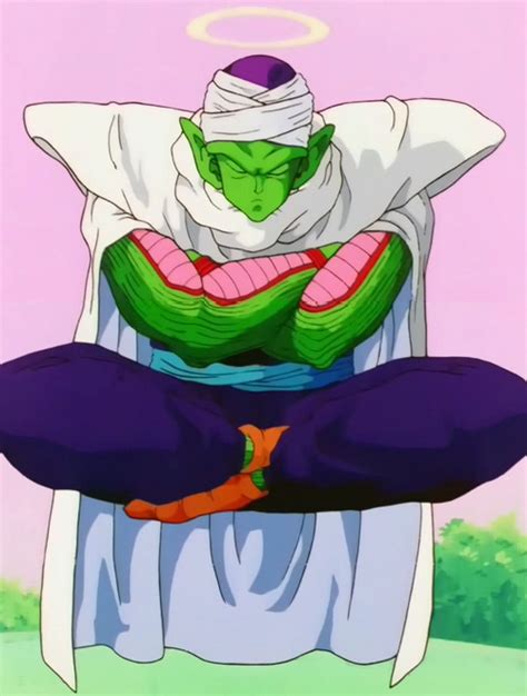 Dragon ball has gone on for so many years that it isn't shocking to find that there might be some inconsistencies with the overall plot or specific related: Piccolo - Dragon Ball Wiki