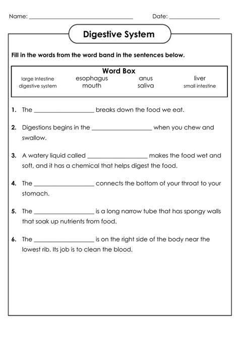grade science worksheets  coloring pages  kids science