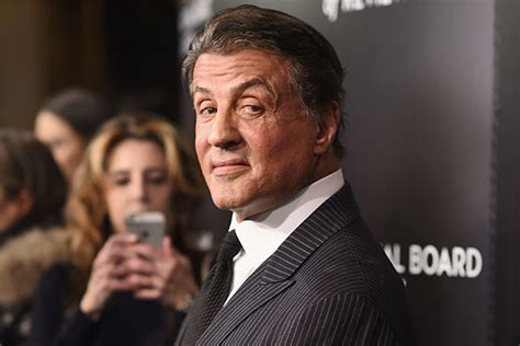 Sylvester Stallone Dead Did Cnn Report The ‘rocky Stars Death