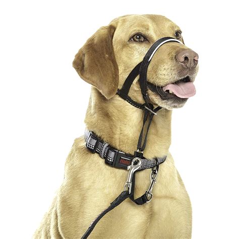 Halti Headcollar Obedience Training Comfortable Stops Pulling Halter