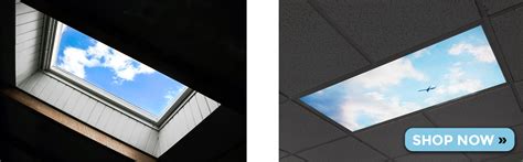 Check spelling or type a new query. LED Skylights: An Easy-to-Install Alternative to ...