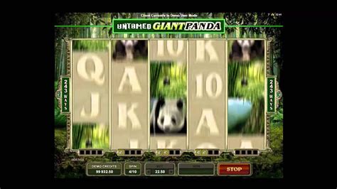 Untamed Giant Panda Slot Machine Online Slots Monitor Youtube