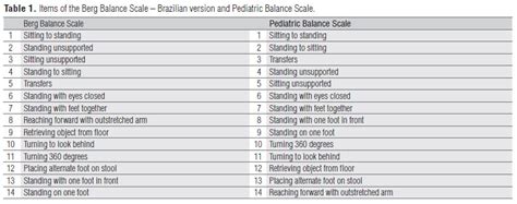 Bbs 물리치료사가 하는 평가 버그 균형척도berg Balance Scale