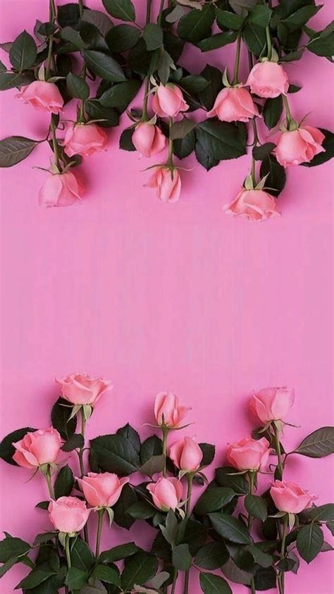 Paling Keren 23 Wallpaper Bunga Pink Hd Gambar Bunga Hd