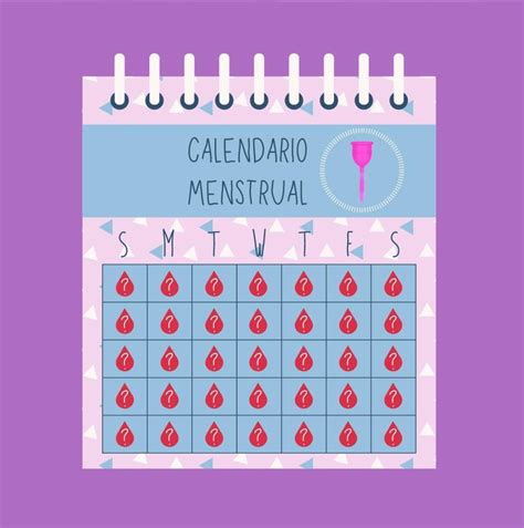Conoce Las Fases Del Ciclo Menstrual Sensual Intim