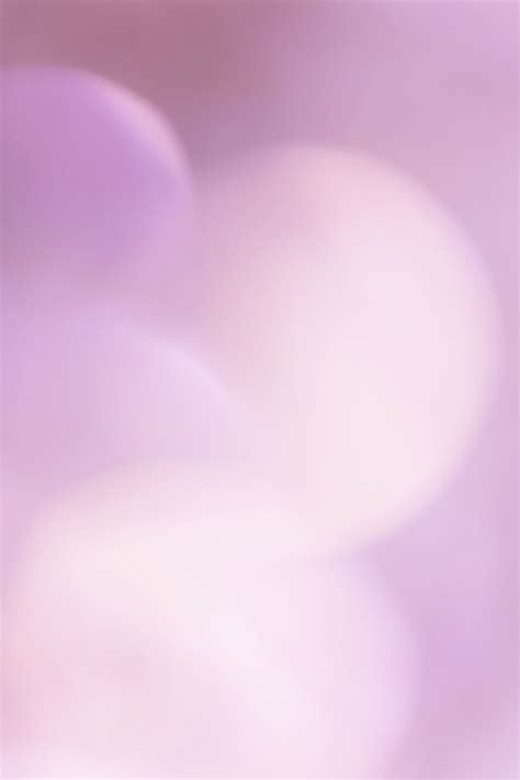 Abstract Blurred Pink Bokeh Lights Free Photo Rawpixel