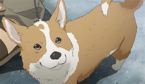 Todays Anime Dog Of The Day Is This Corgi From