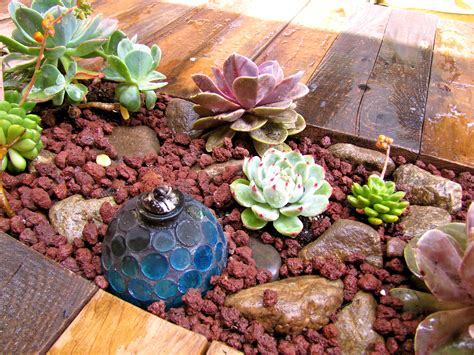 Submitted 3 years ago by rydawell. DIY succulent outdoor coffee table | Succulent outdoor ...