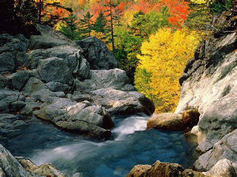 Wallpaper Landscape Forest Waterfall Rock Nature Stones River