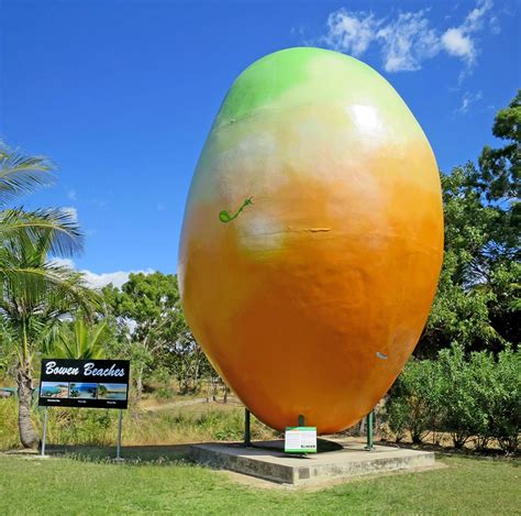 The Big Mango Khloeterri