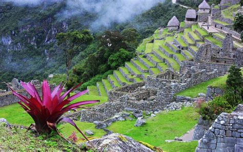 Machu Picchu Hd Wallpaper Background Image 1920x1200