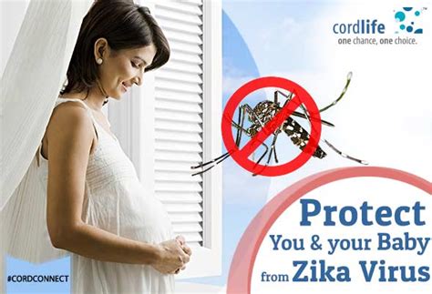 Zika Virus Outbreak Interim Guidelines For Pregnant Women