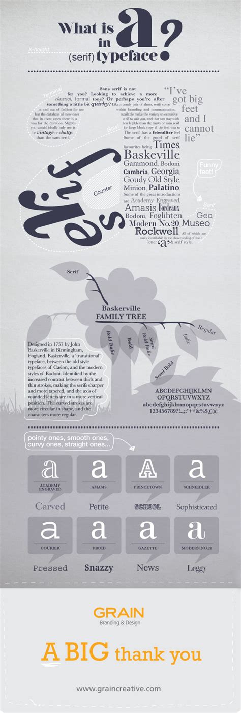 What Is In A Typeface Serif Infographic Grain Creative