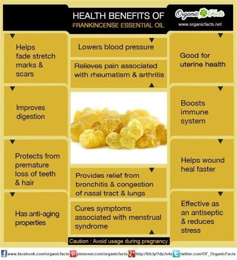 The Health Benefits Of Frankincense Essential Oil Can Be Attributed To