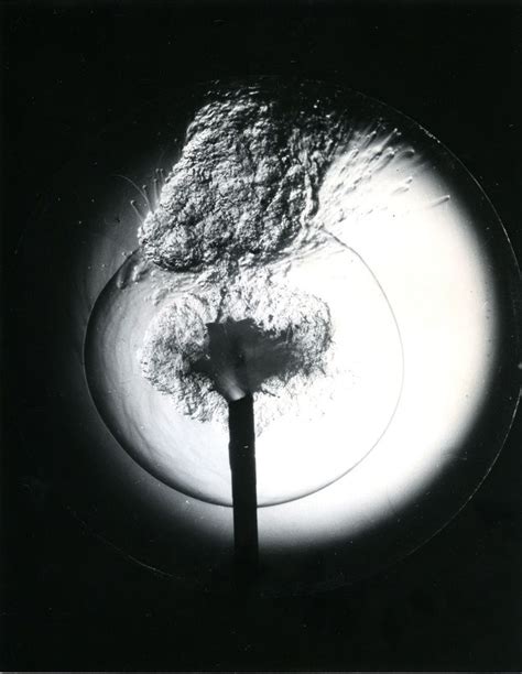 Dr Harold Edgerton End View Of A Fire Cracker 1971 Silver Gelatin