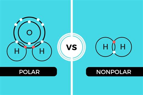 Polar And Nonpolar Covalent Bonds Characteristics Differences
