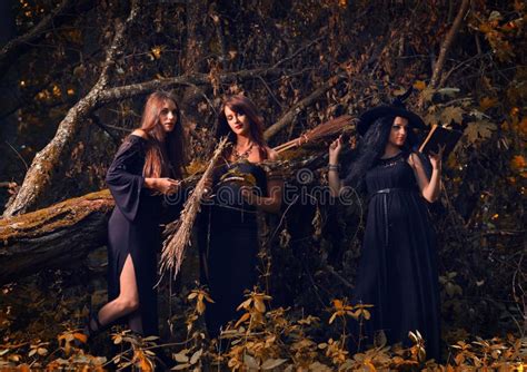 Three Beautiful Women Acting As Witches Joining Their Malicious Stock
