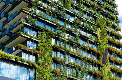 The city as a project | how we became a… Nature in the City: Green solutions for sustainable ...