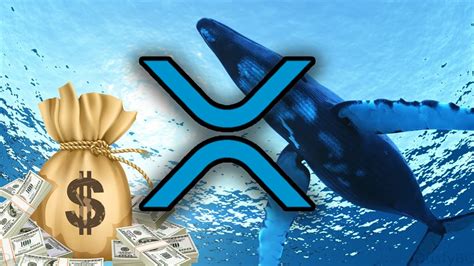 A lot of platforms have already eliminated this asset from their list so xrp will need. Ripple XRP Whales Are Buying XRP Like Crazy Right Now ...