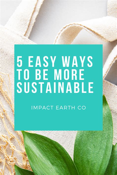 5 Easy Ways To Be More Sustainable Eco Friendly Inspiration