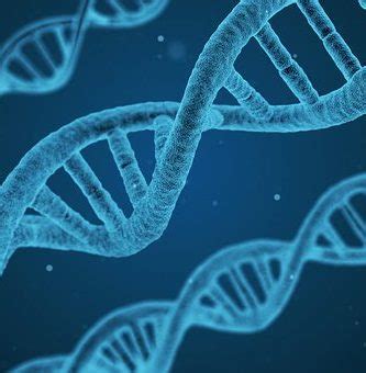 Ventajas y desventajas de la terapia génica Terapia Génica