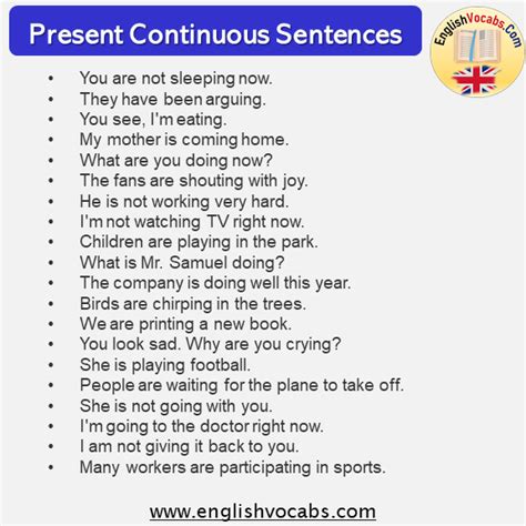 100 Present Continuous Tense Example Sentences English Vocabs