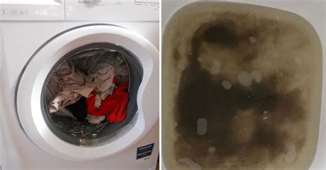 Disgusting Cleaning Method Reveals How Dirty Your Washing Machine